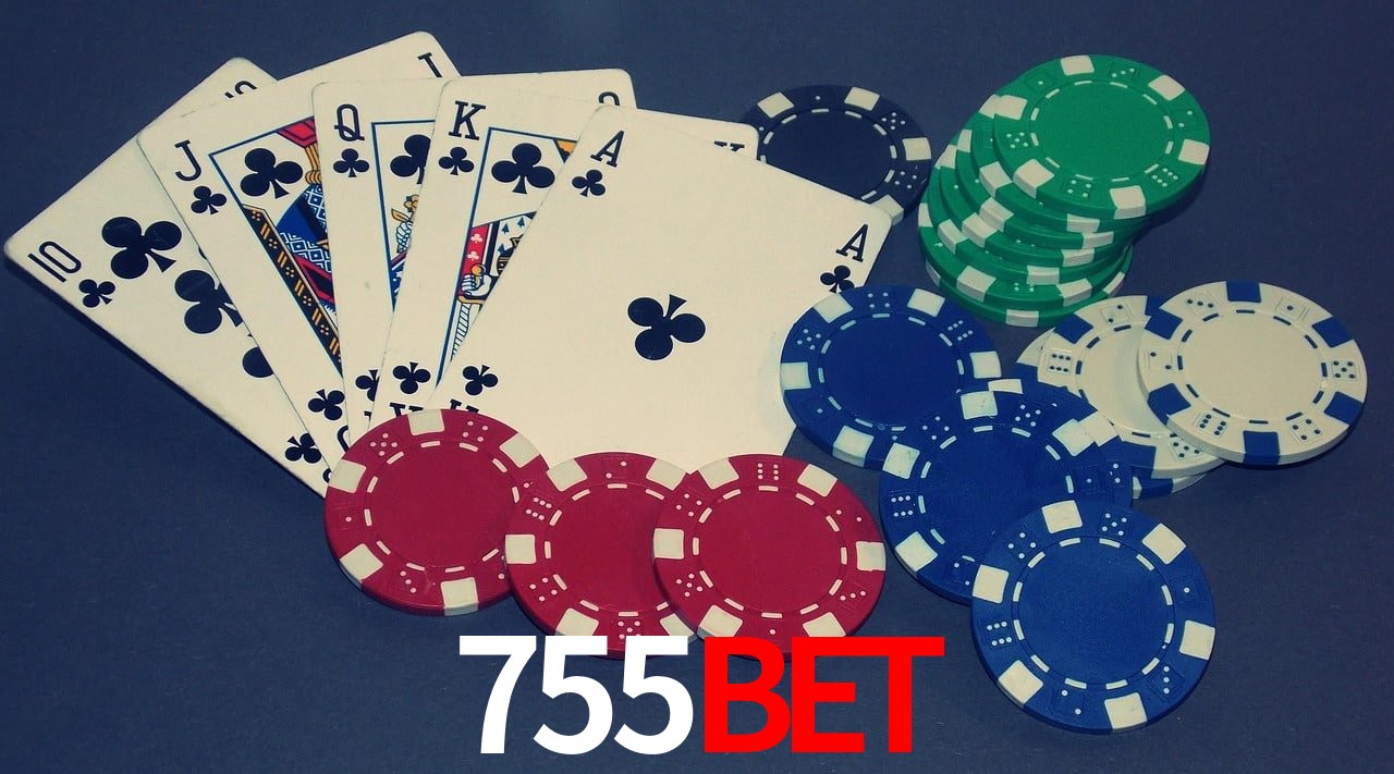Security Systems 755BET